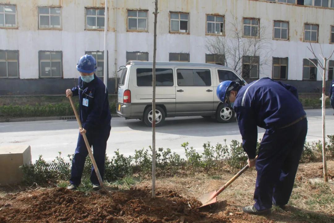 廠區(qū)綠化植樹