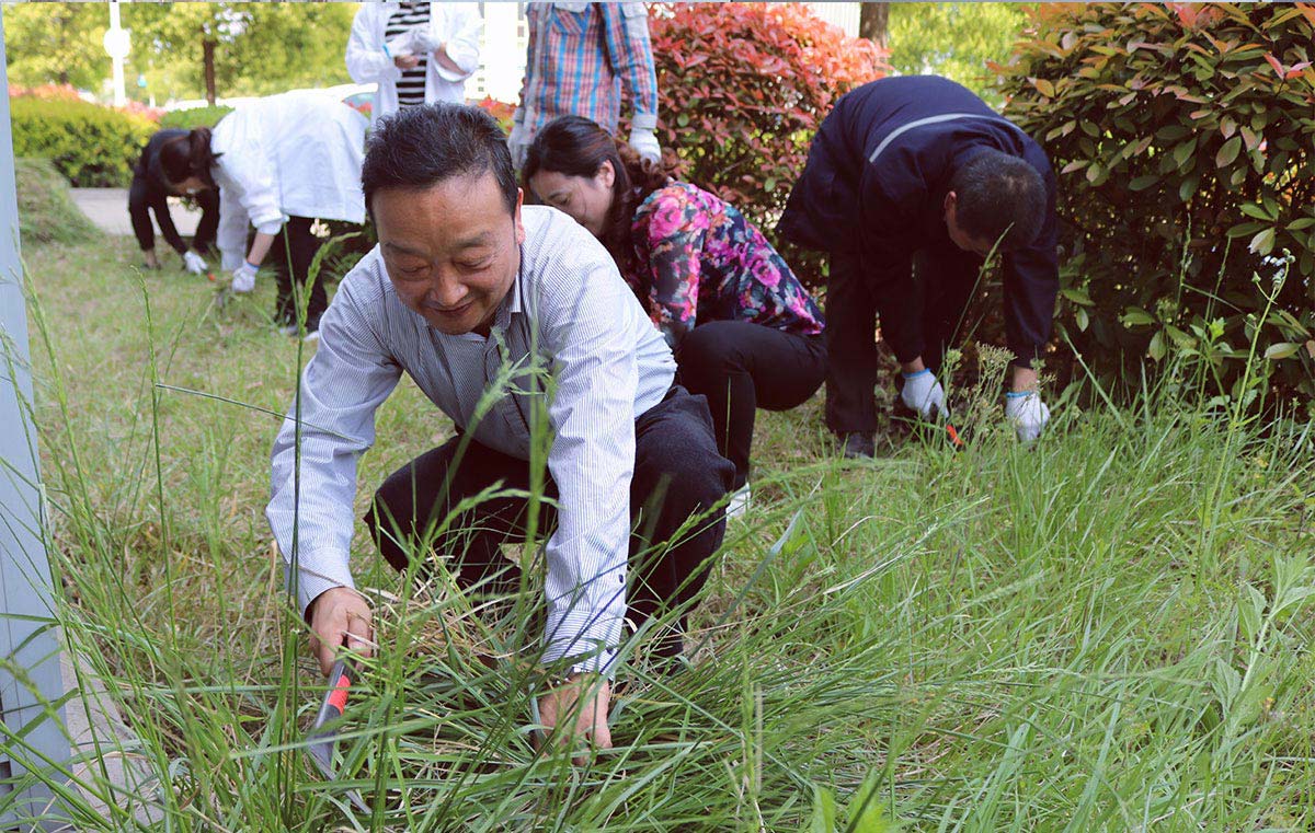 送料機(jī)廠除草活動(dòng)